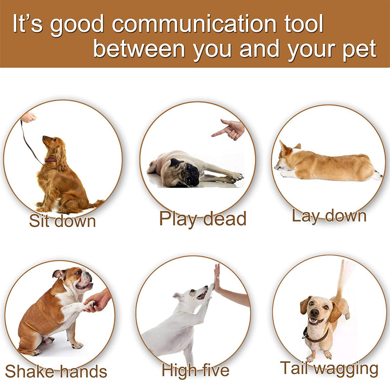 📢🔥🔥Best Sellers：🐶Pet Training Clicker with Wrist Strap🔔