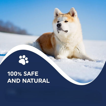 📢🔥🔥Seasonal limited discount🐶🐾🐶 Moisturizing Dog Paw Balm that  Protects and Heals Dry Cracked🐾 Paws