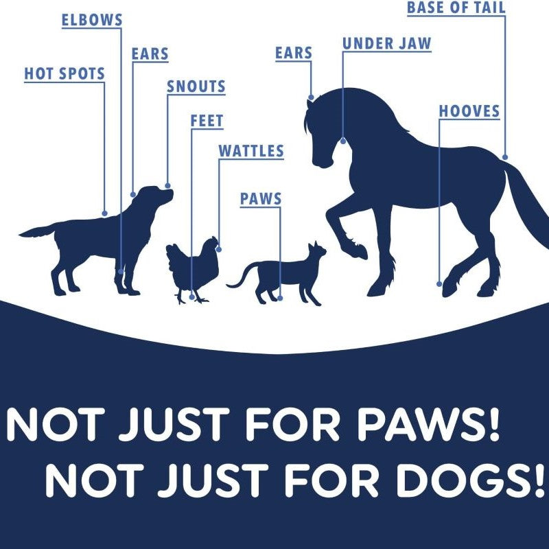 📢🔥🔥Seasonal limited discount🐶🐾🐶 Moisturizing Dog Paw Balm that  Protects and Heals Dry Cracked🐾 Paws