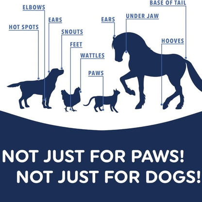 📢🔥🔥Seasonal limited discount🐶🐾🐶 Moisturizing Dog Paw Balm that  Protects and Heals Dry Cracked🐾 Paws