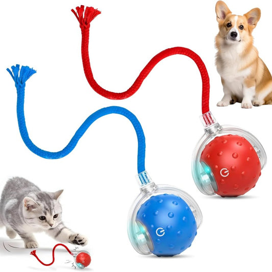 📣🔥🔥New hot sale:360° intelligent automatic rolling🐱 pet 🐶ball with bird🐦 singing sound