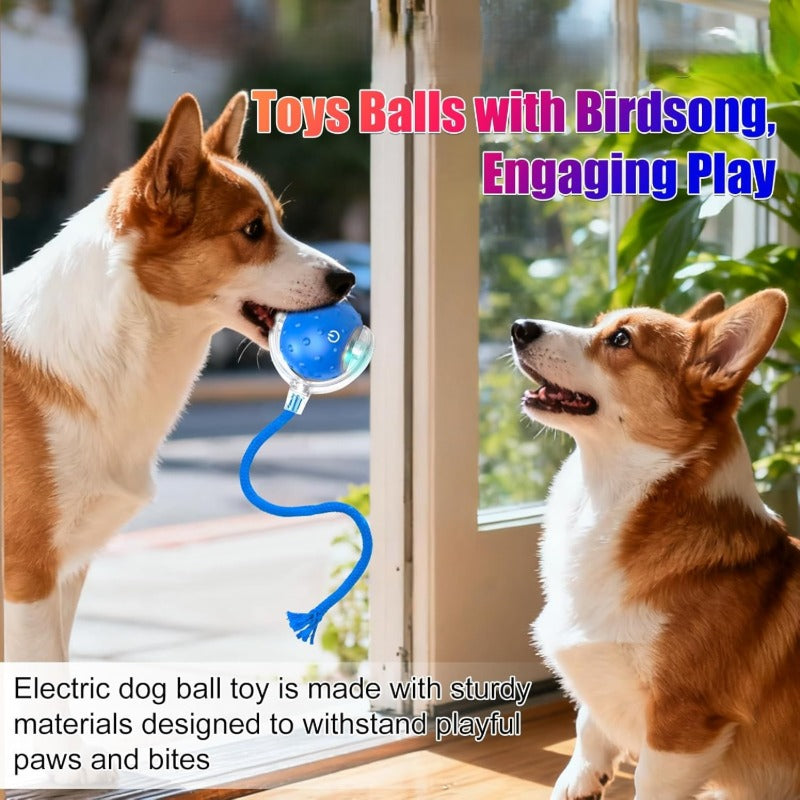 📣🔥🔥New hot sale:360° intelligent automatic rolling🐱 pet 🐶ball with bird🐦 singing sound