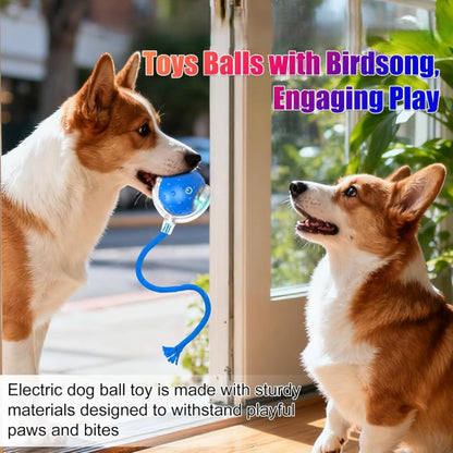 📣🔥🔥New hot sale:360° intelligent automatic rolling🐱 pet 🐶ball with bird🐦 singing sound