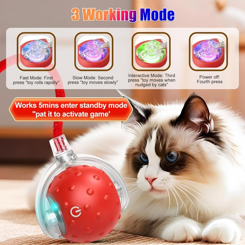 📣🔥🔥New hot sale:360° intelligent automatic rolling🐱 pet 🐶ball with bird🐦 singing sound