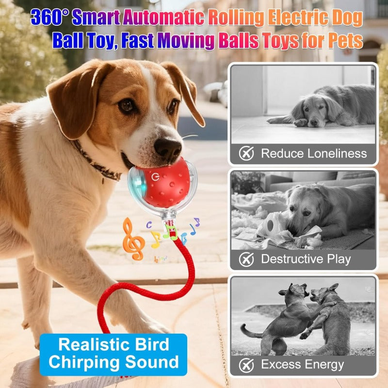 📣🔥🔥New hot sale:360° intelligent automatic rolling🐱 pet 🐶ball with bird🐦 singing sound